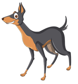 Dog playing